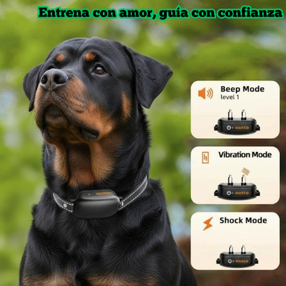 Collar de Adiestramiento Eléctrico para Perros ROJECO PD521 | Control Remoto Digital, Recargable e Impermeable IPX7