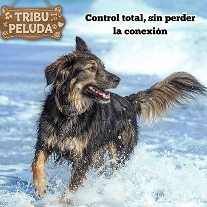 Collar de Adiestramiento Eléctrico para Perros ROJECO PD521 | Control Remoto Digital, Recargable e Impermeable IPX7