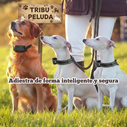 Collar de Adiestramiento Eléctrico para Perros ROJECO PD521 | Control Remoto Digital, Recargable e Impermeable IPX7