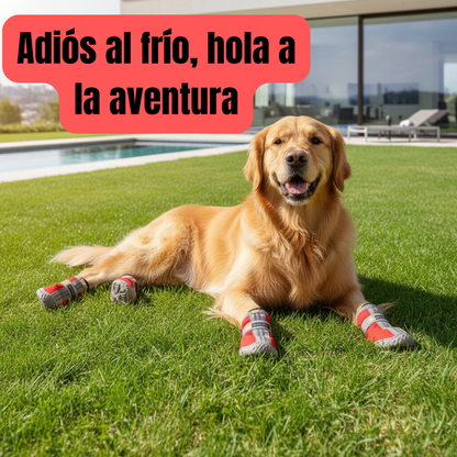 Botas Antideslizantes y Cálidas para Perros | Protección de Patas Impermeable – Tribu Peluda